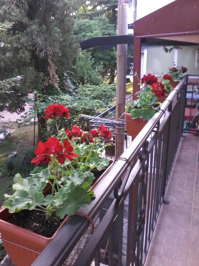 Apartments Olga Virpazar Exterior photo